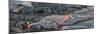 Close-up of solidified lava, Hawaii Volcanoes National Park, Hawaii Islands, USA-Panoramic Images-Mounted Photographic Print