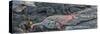 Close-up of solidified lava, Hawaii Volcanoes National Park, Hawaii Islands, USA-Panoramic Images-Stretched Canvas