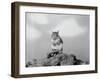 Close-Up of Squirrel-Philip Gendreau-Framed Photographic Print