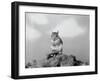 Close-Up of Squirrel-Philip Gendreau-Framed Photographic Print