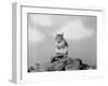 Close-Up of Squirrel-Philip Gendreau-Framed Photographic Print