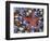 Close-Up of Starfish and Clam Shells, Hood Canal, Seabeck, Washington, USA-Don Paulson-Framed Photographic Print