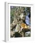 Close-up of Statue, Bali, Indonesia, Southeast Asia, Asia-Claire Leimbach-Framed Photographic Print