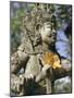 Close-up of Statue, Bali, Indonesia, Southeast Asia, Asia-Claire Leimbach-Mounted Photographic Print