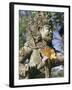 Close-up of Statue, Bali, Indonesia, Southeast Asia, Asia-Claire Leimbach-Framed Photographic Print