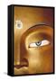 Close-Up of Statue, Thiksay Gompa-Merrill Images-Framed Stretched Canvas