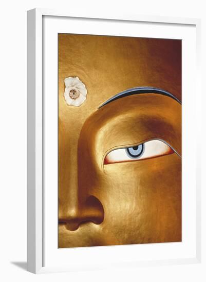 Close-Up of Statue, Thiksay Gompa-Merrill Images-Framed Photographic Print