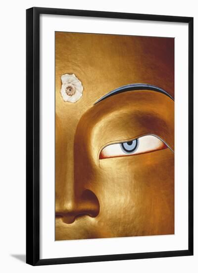 Close-Up of Statue, Thiksay Gompa-Merrill Images-Framed Photographic Print