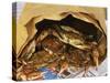 Close-up of Steamed Crabs in a Paper Bag, Maryland, USA-null-Stretched Canvas