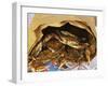 Close-up of Steamed Crabs in a Paper Bag, Maryland, USA-null-Framed Photographic Print