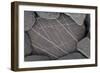 Close-Up of Stone with White Lines on It, Alentejo, Portugal-Quinta-Framed Photographic Print