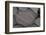 Close-Up of Stone with White Lines on It, Alentejo, Portugal-Quinta-Framed Photographic Print