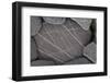 Close-Up of Stone with White Lines on It, Alentejo, Portugal-Quinta-Framed Photographic Print