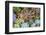 Close-up of succulent plants, San Diego, California, USA.-Stuart Westmorland-Framed Photographic Print