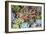 Close-up of succulent plants, San Diego, California, USA.-Stuart Westmorland-Framed Photographic Print