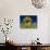 Close-Up of Sunflower in a Field of Flowers in Tuscany, Italy, Europe-Gavin Hellier-Photographic Print displayed on a wall