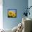 Close-Up of Sunflowers in Italy, Europe-Tony Gervis-Framed Stretched Canvas displayed on a wall