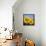 Close-Up of Sunflowers in Italy, Europe-Tony Gervis-Framed Stretched Canvas displayed on a wall