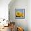 Close-Up of Sunflowers in Italy, Europe-Tony Gervis-Framed Photographic Print displayed on a wall