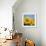 Close-Up of Sunflowers in Italy, Europe-Tony Gervis-Framed Photographic Print displayed on a wall