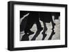 Close-Up Of Tango Dancers-null-Framed Art Print