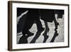 Close-Up Of Tango Dancers-null-Framed Art Print