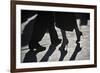 Close-Up Of Tango Dancers-null-Framed Art Print