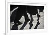 Close-Up Of Tango Dancers-null-Framed Art Print