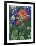 Close-up of Texas Paintbrush, Hill Country, Texas, USA-Adam Jones-Framed Photographic Print