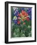 Close-up of Texas Paintbrush, Hill Country, Texas, USA-Adam Jones-Framed Photographic Print