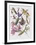 Close-Up of the Anatomic Scheme of Insects-null-Framed Giclee Print