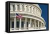 Close Up of the Capitol Building-John Woodworth-Framed Stretched Canvas