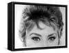 Close Up of the Eyes of Actress Sophia Loren-Alfred Eisenstaedt-Framed Stretched Canvas