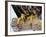 Close up of the Feet and Talons of a Bald Eagle, Alaska, USA, North America-David Tipling-Framed Photographic Print