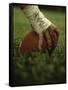 Close-up of the Hand of an American Football Player Holding a Football-null-Framed Stretched Canvas