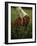 Close-up of the Hand of an American Football Player Holding a Football-null-Framed Premium Photographic Print