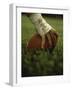 Close-up of the Hand of an American Football Player Holding a Football-null-Framed Premium Photographic Print