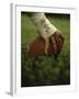 Close-up of the Hand of an American Football Player Holding a Football-null-Framed Premium Photographic Print