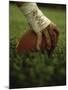 Close-up of the Hand of an American Football Player Holding a Football-null-Mounted Premium Photographic Print