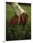 Close-up of the Hand of an American Football Player Holding a Football-null-Framed Photographic Print