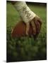 Close-up of the Hand of an American Football Player Holding a Football-null-Mounted Photographic Print