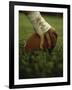 Close-up of the Hand of an American Football Player Holding a Football-null-Framed Photographic Print