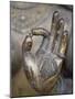 Close-Up of the Hand of Ganga, Kathmandu Valley, Nepal-Don Smith-Mounted Photographic Print