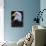 Close-up of the Head of a Bald Eagle, Haliaeetus Leucocephalus, Chateau De Beaucaire, Gard, France-Ruth Tomlinson-Photographic Print displayed on a wall