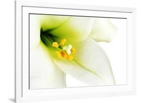 Close-Up of the inside of a White Lilly-Johan Swanepoel-Framed Photographic Print