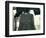 Close-Up of the Liberty Bell, Philadelphia, Pennsylvania, USA-Geoff Renner-Framed Photographic Print