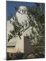 Close up of the Shrine of the Book, with Olive Tree Branches, Israel Museum, Jerusalem, Israel-Eitan Simanor-Mounted Photographic Print