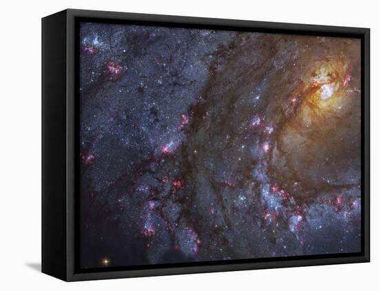 Close-up of the Southern Pinwheel Galaxy-Stocktrek Images-Framed Stretched Canvas