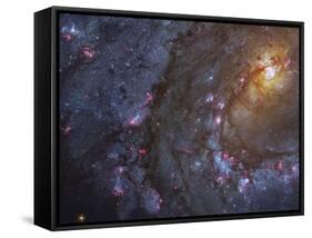 Close-up of the Southern Pinwheel Galaxy-Stocktrek Images-Framed Stretched Canvas