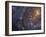 Close-up of the Southern Pinwheel Galaxy-Stocktrek Images-Framed Premium Photographic Print